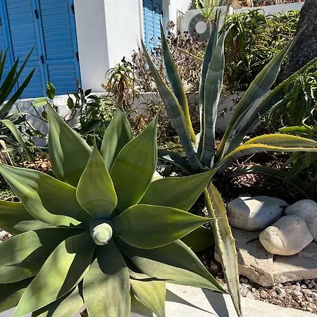 Ikaria Village Cosy Appts Klorakas