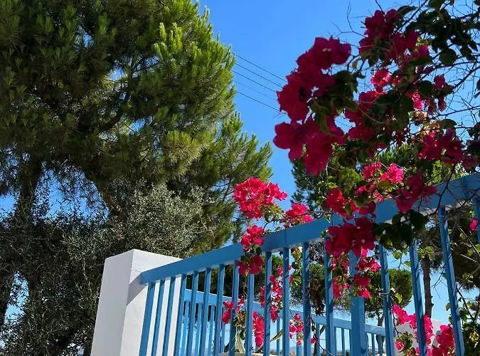 Ikaria Village Cosy Appts Lägenhet Klorakas