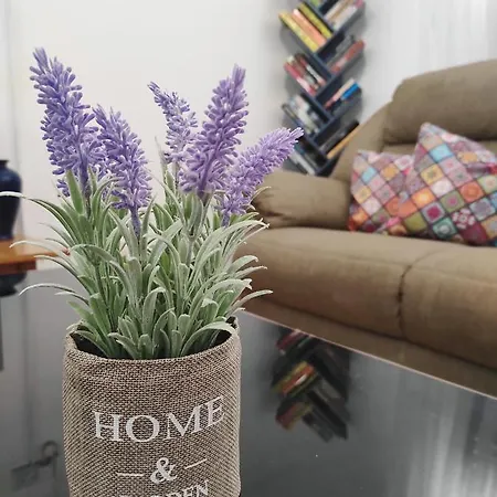 Ikaria Village Cosy Appts 公寓