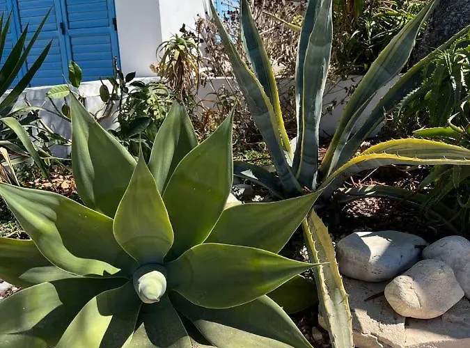 Ikaria Village Cosy Appts Klorakas